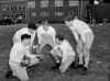 kirkland-football-P1093443.jpg (127106 bytes)